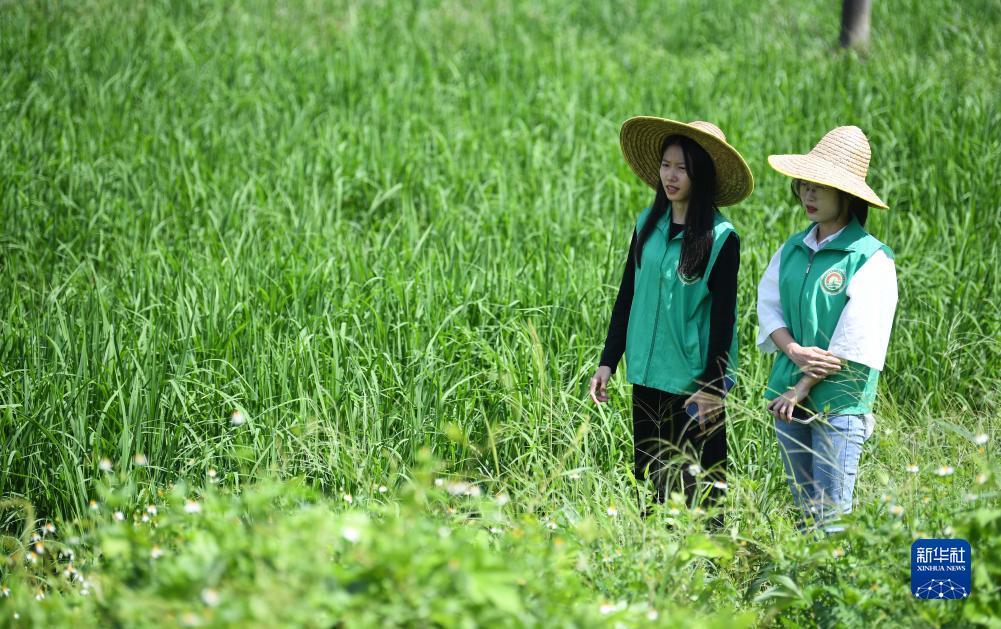 大发注册送38体验金